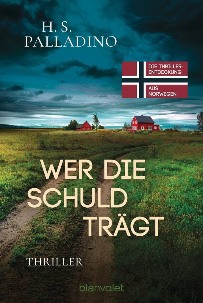 Wer die Schuld trägt: Thriller