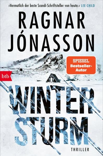 Wintersturm: Thriller