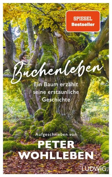 Buchenleben: Ein Baum erzählt seine erstaunliche Geschichte - SPIEGEL-Bestseller