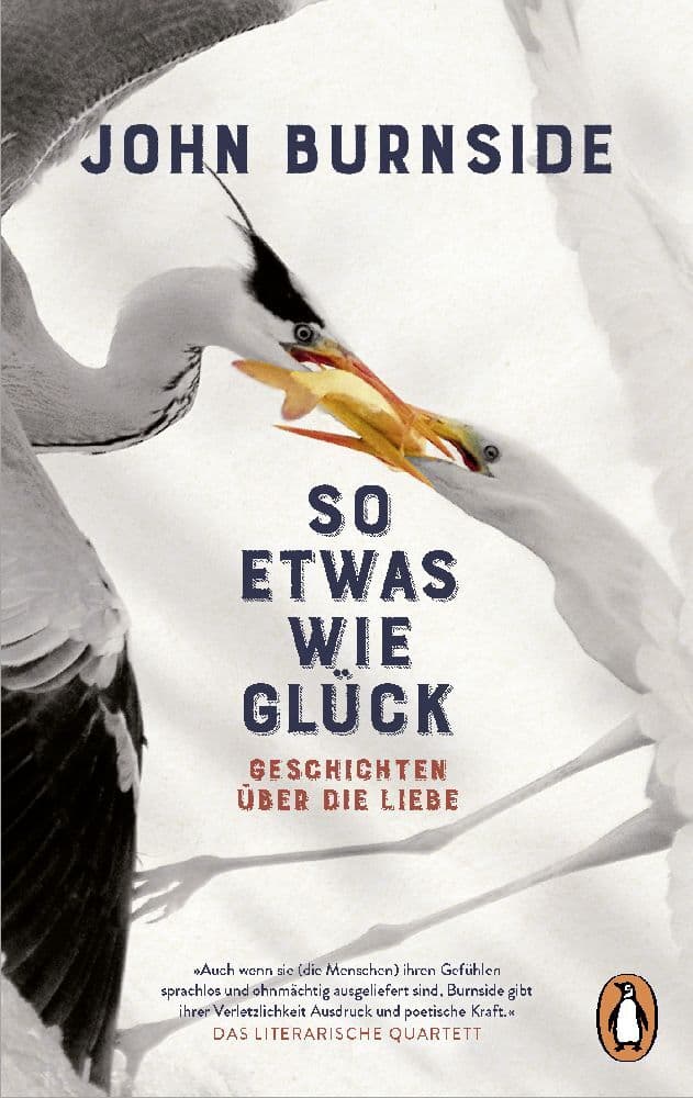So etwas wie Glück: Geschichten über die Liebe