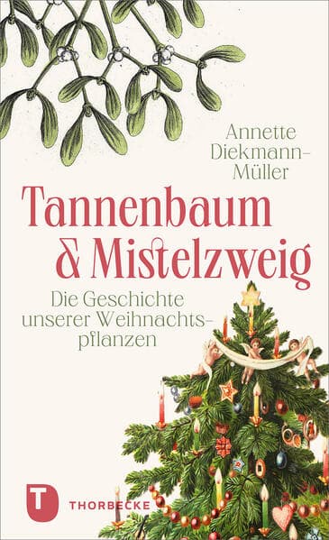 Tannenbaum und Mistelzweig: Die Geschichte unserer Weihnachtspflanzen