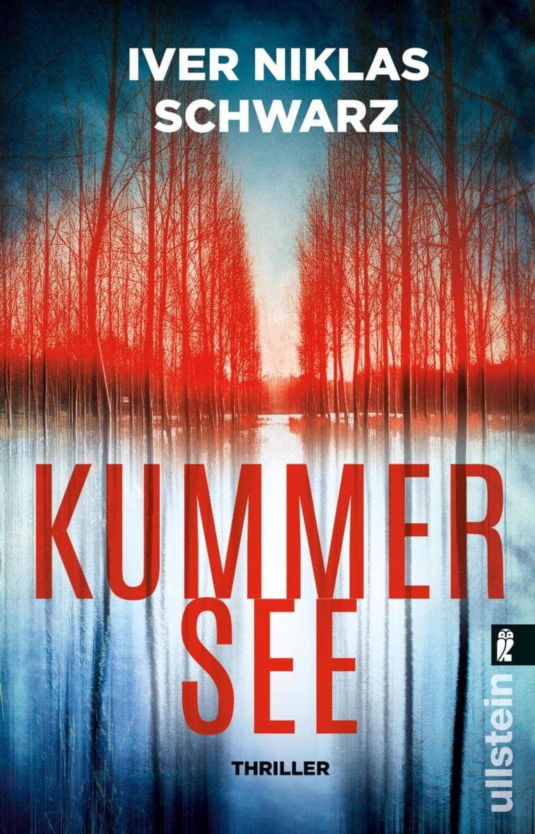 Kummersee: Thriller