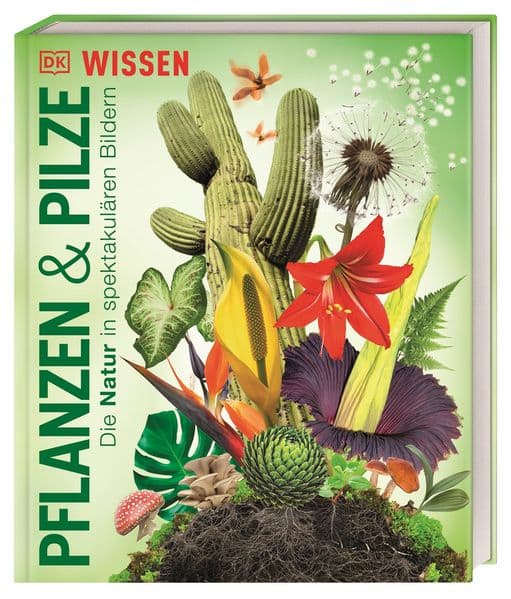 DK Wissen. Pflanzen und Pilze: Die Natur in spektakulären Bildern. Für Kinder ab 8 Jahren