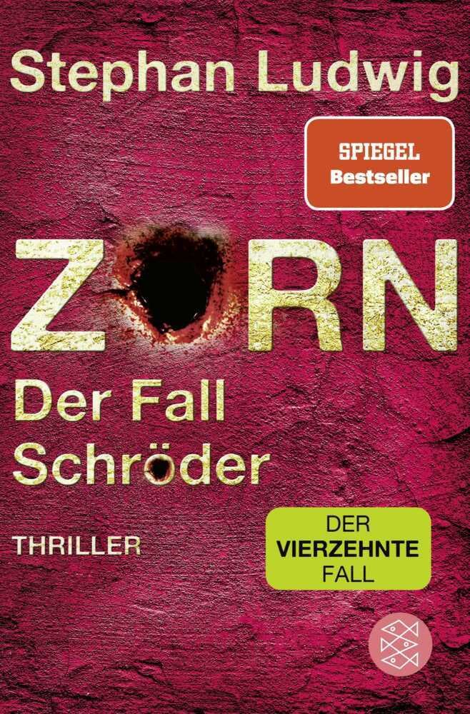 Zorn - Der Fall Schröder: Thriller