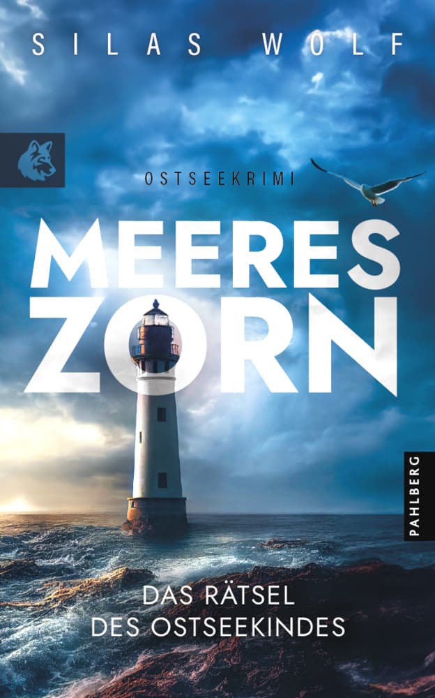 Meereszorn - Das Rätsel des Ostseekindes: Küstenkrimi - Ostseekrimi