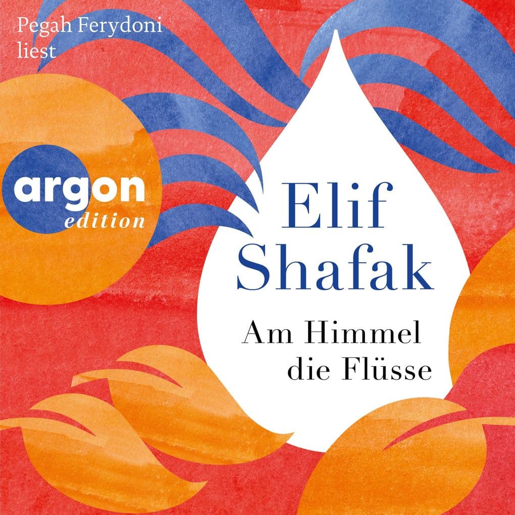 Am Himmel die Flüsse: Roman