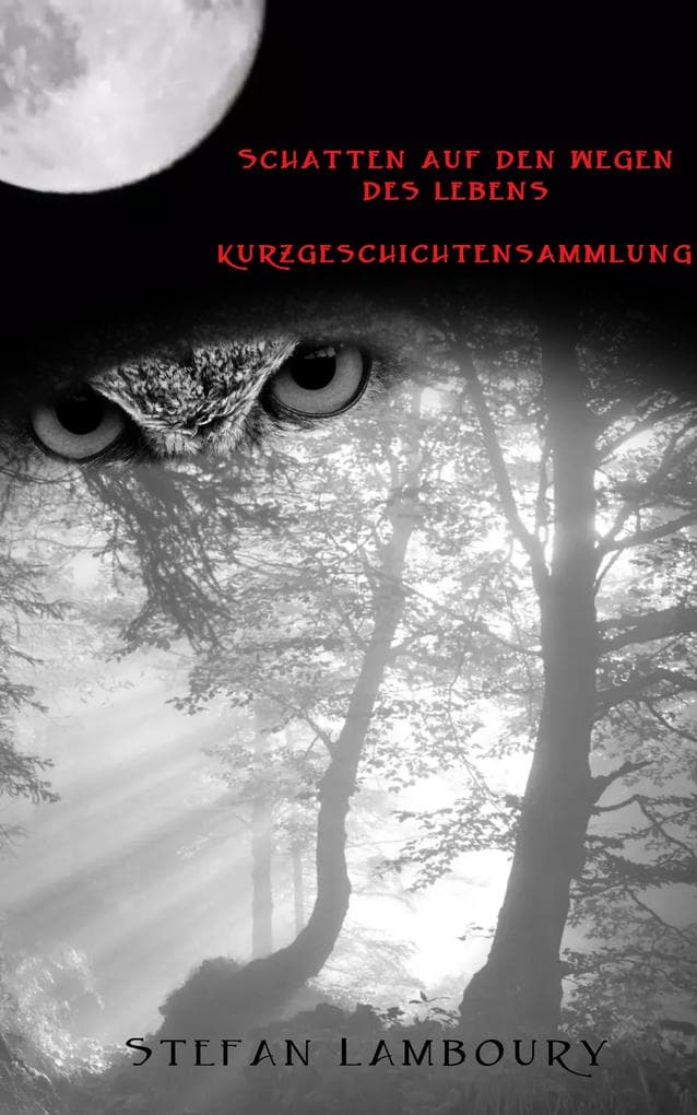 Schatten auf den Wegen des Lebens: Kurzgeschichtensammlung