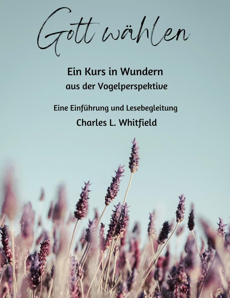 Gott wählen: Ein Kurs in Wundern aus der Vogelperspektive