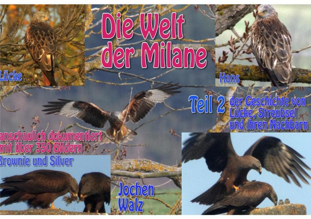 Die Welt der Milane Teil 2: Teil 2 der Geschichte von Lücke, Streubsel und ihren Nachbarn