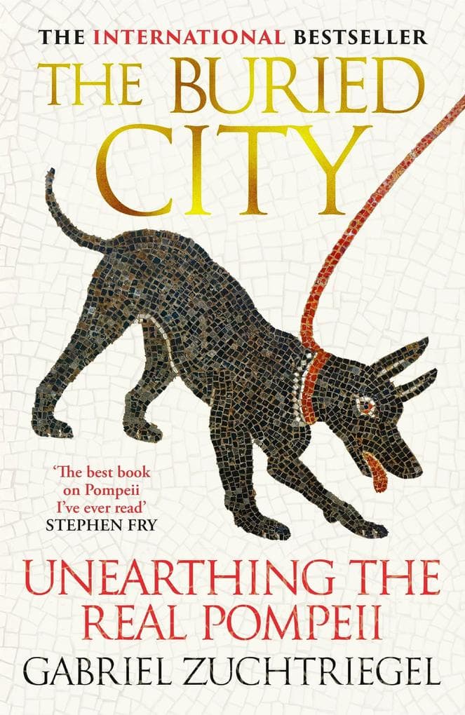The Buried City: The Revelatory New History from the Director of Pompeii