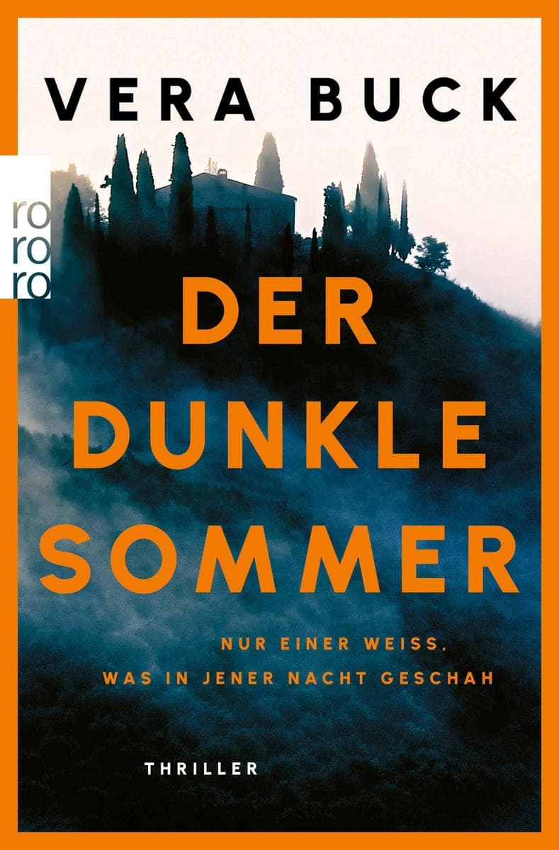 Der dunkle Sommer: Nur einer weiß, was in jener Nacht geschah | Thriller