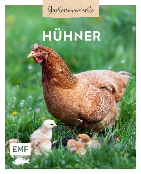 Gartenmomente: Hühner: Hühnerrassen, artgerechte Haltung und Pflege im eigenen Garten