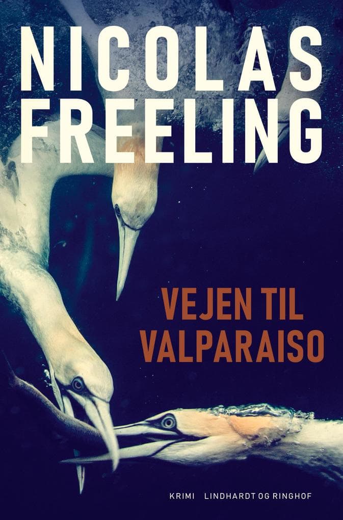 Vejen til Valparaiso