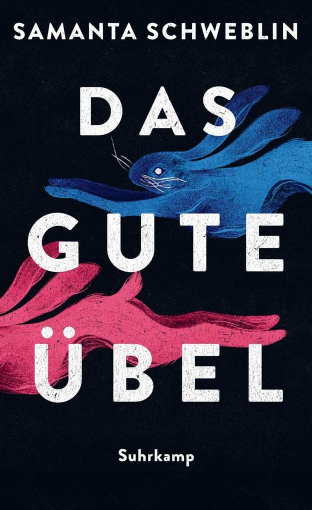 Das gute Übel: Erzählungen | Gestochen scharfe Horrorgeschichten der National Book Award Gewinnerin | »Entsetzen, Angst und Lust - großartige Storys.« Siri Hustvedt