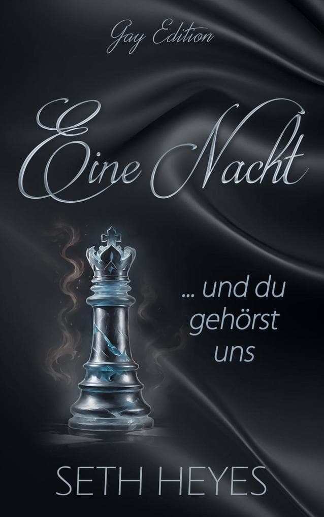 Eine Nacht und du gehörst uns: Gay Edition, #2