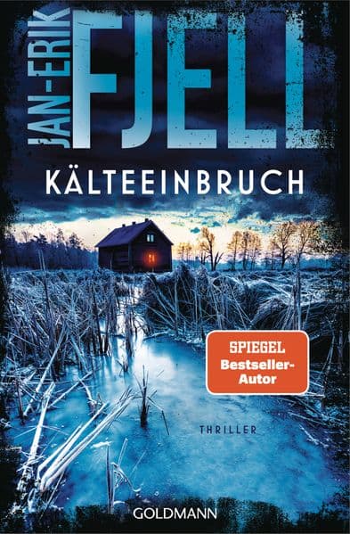 Kälteeinbruch: Thriller