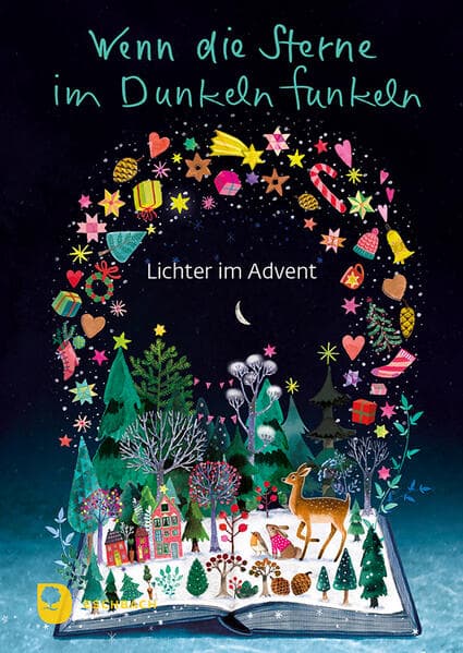 Wenn die Sterne im Dunkeln funkeln: Lichter im Advent