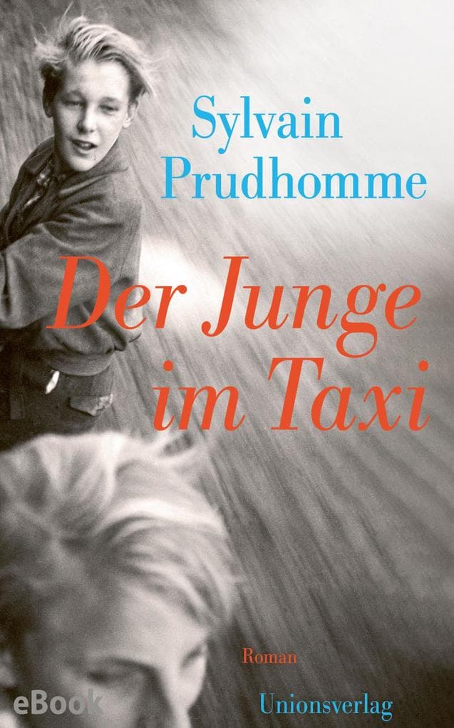 Der Junge im Taxi: Roman