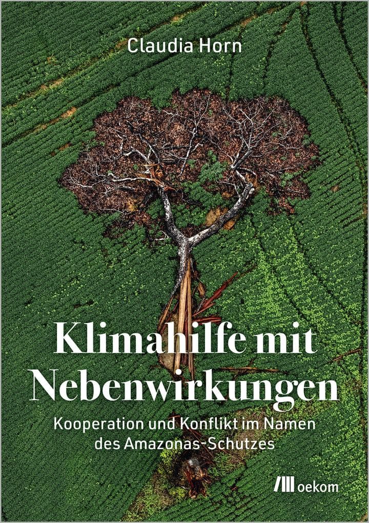 Klimahilfe mit Nebenwirkungen: Kooperation und Konflikt im Namen des Amazonas-Schutzes