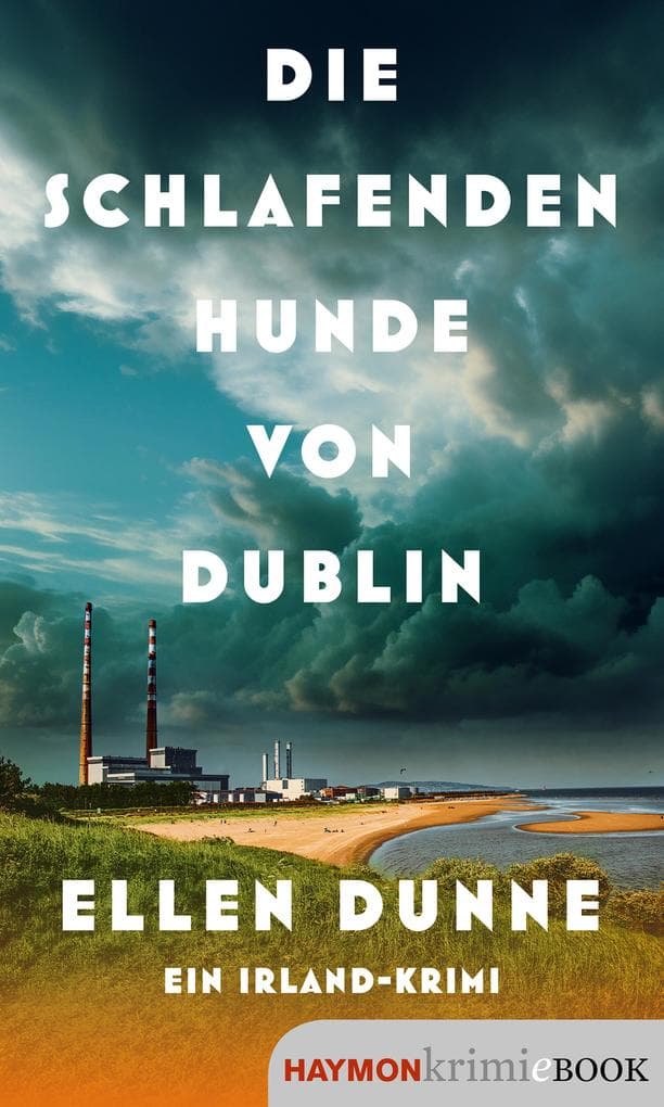 Die schlafenden Hunde von Dublin: Ein Irland-Krimi