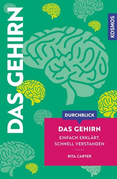 Durchblick Das Gehirn: Einfach erklärt, schnell verstanden. Einführung ins Gehirn. Komplexe Themen aus Wissenschaft und Philosophie in moderner, grafisch innovativer Form aufbereitet.