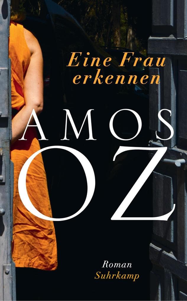 Eine Frau erkennen: Roman