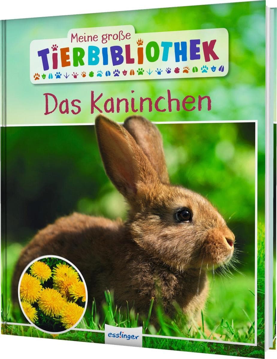 Meine große Tierbibliothek: Das Kaninchen: Erstes Wissen für Vor- und Grundschule