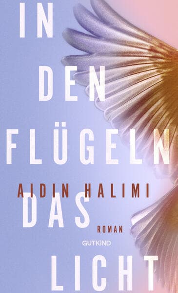 In den Flügeln das Licht: Roman | Aufwachsen im Iran der Revolution - Ein bewegender Roman über Familie und Widerstand.