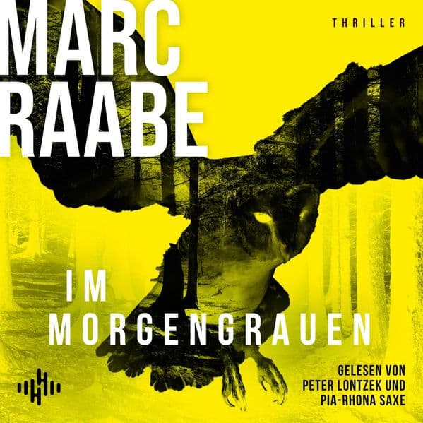 Im Morgengrauen (Art Mayer-Serie 4): 2 CDs | Art Mayers neuer Fall | Bestseller von Marc Raabe bringen Sie um den Schlaf!