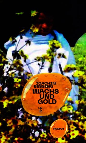 Wachs und Gold: Roman