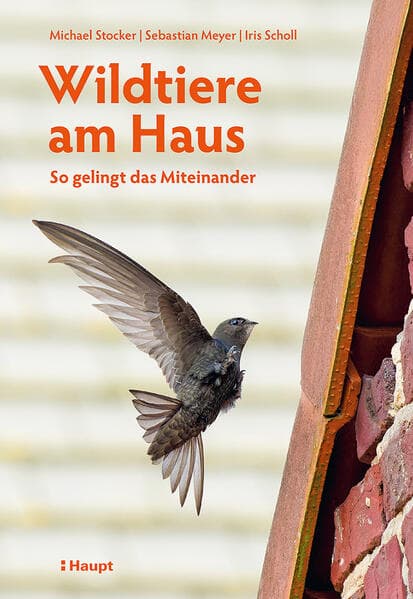Wildtiere am Haus: So gelingt das Miteinander