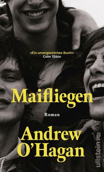 Maifliegen: Roman