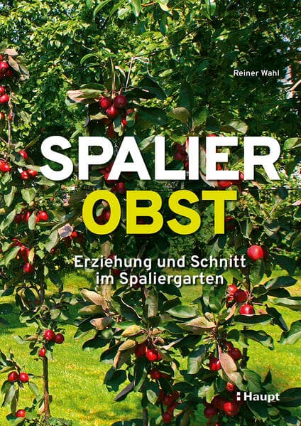 Spalierobst: Erziehung und Schnitt im Spaliergarten