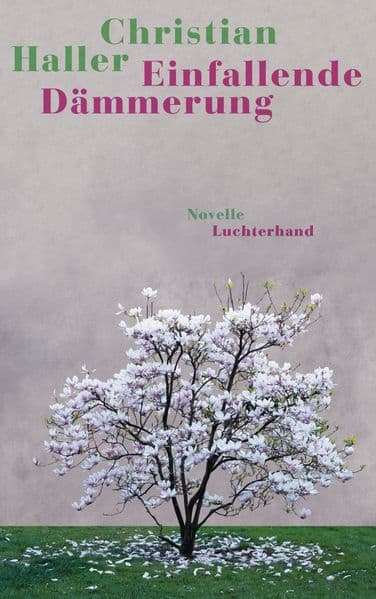 Einfallende Dämmerung: Novelle