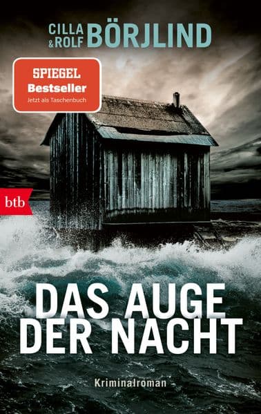 Das Auge der Nacht: Kriminalroman