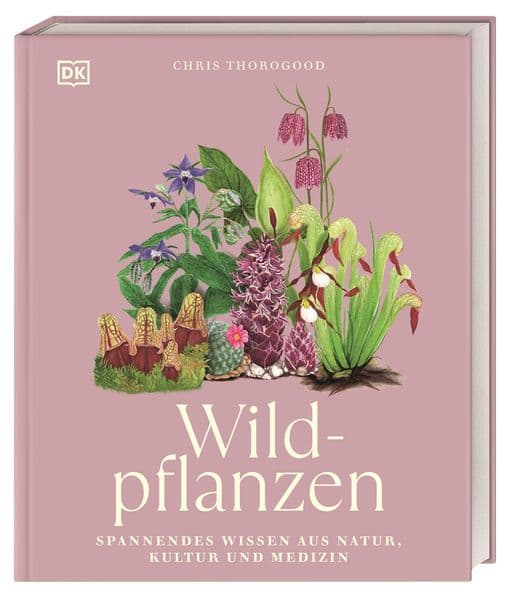 Wildpflanzen: Spannendes Wissen aus Natur, Kultur und Medizin. Wunderschön illustriertes Wildpflanzen-Buch mit 68 detaillierten Pflanzen-Steckbriefen
