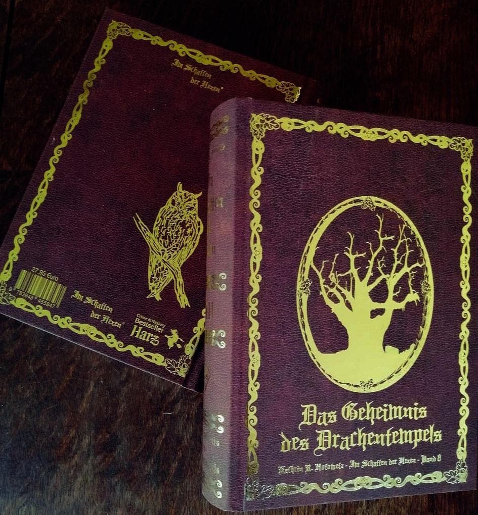 Im Schatten der Hexen VIII: Das Geheimnis des Drachentempels - Schmuckedition Bd. 8 - Ein mystischer Harz-Krimi