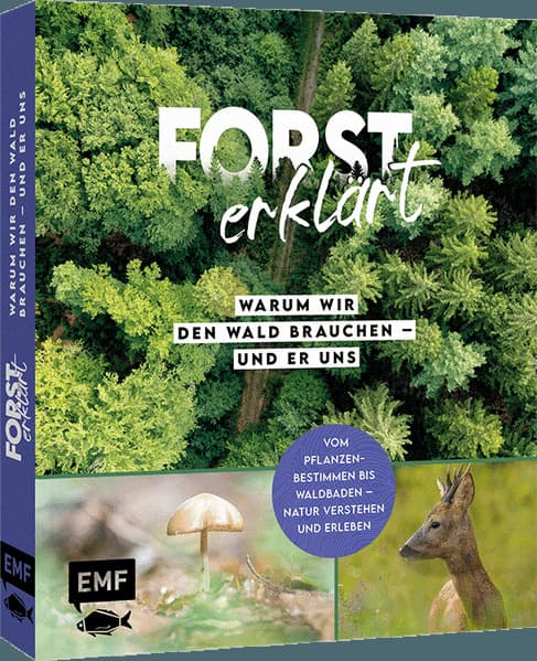 Forst erklärt: Warum wir den Wald brauchen - und er uns: Natur verstehen und erleben: vom Pflanzenbestimmen bis Waldbaden | Mit vielen Porträts zur Bestimmung von Bäumen, Pflanzen, Tieren
