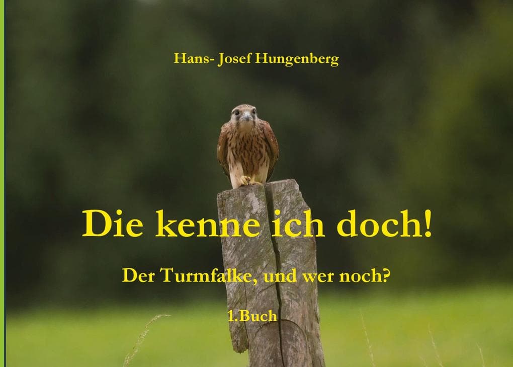 Die kenne ich doch!: Der Turmfalke, und wer noch?