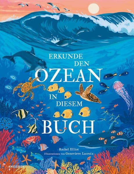 Erkunde den Ozean in diesem Buch: Kinderbuch ab 6 Jahren über Meerestiere, Wale, Haie, Korallenriffe & die faszinierende Unterwasserwelt der Ozeane