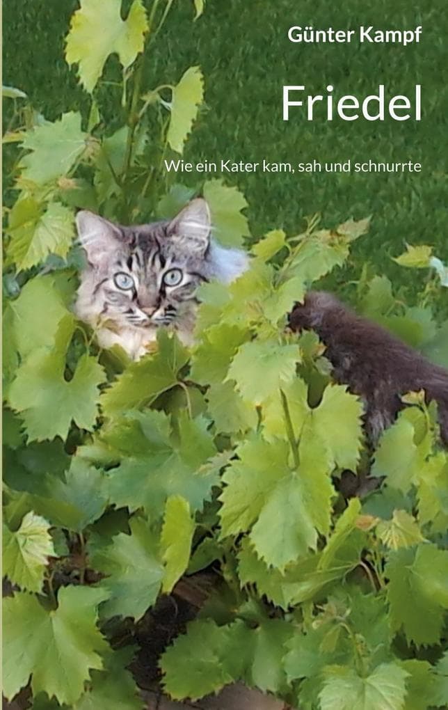 Friedel: Wie ein Kater kam, sah und schnurrte