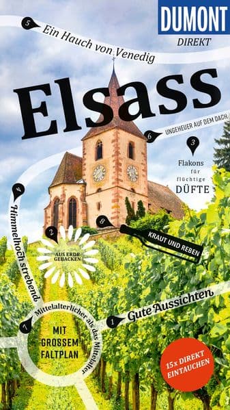 DUMONT direkt Reiseführer Elsass: Mit großem Faltplan