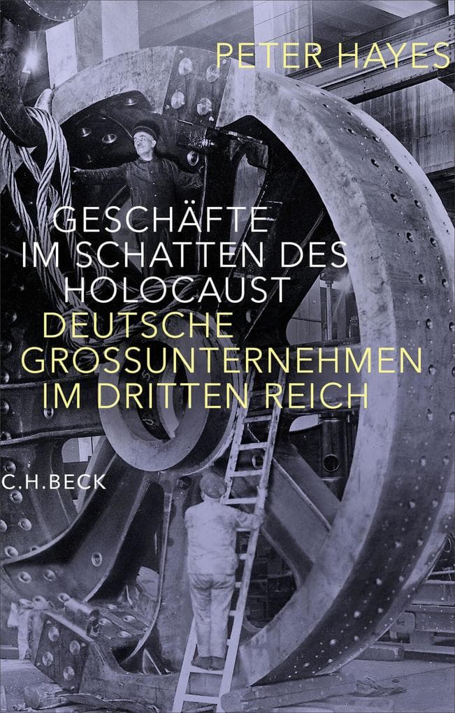Geschäfte im Schatten des Holocaust: Deutsche Großunternehmen im Dritten Reich