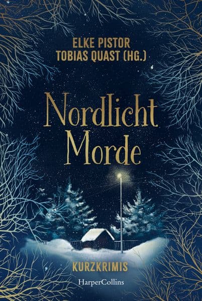 Nordlichtmorde. 20 Kurzkrimis: Krimi-Anthologie | 20 spannende Kurzkrimis in Skandinavien | Gänsehaut zur Winterzeit