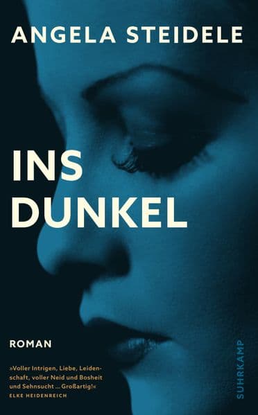 Ins Dunkel: Roman