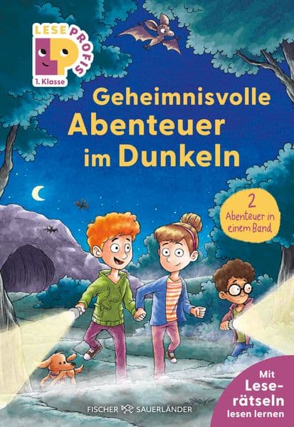 Leseprofis - Geheimnisvolle Abenteuer im Dunkeln, 1. Klasse (Doppelband): Kinderbuch zum Lesenlernen ab 6 Jahren