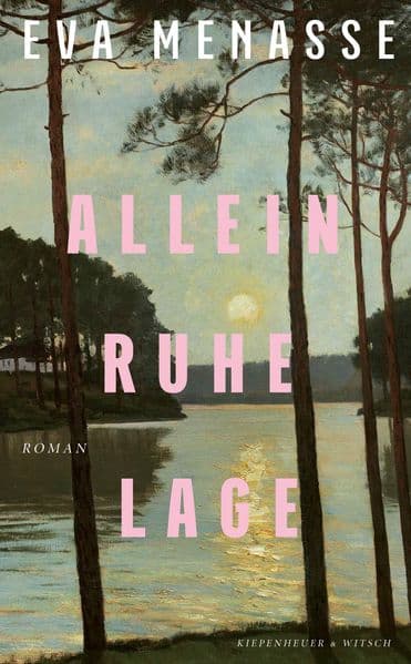 Alleinruhelage: Roman