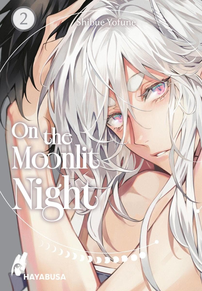 On the Moonlit Night 2: Spicy Boys-Love-Kurzserie ab 18 über einen verfluchten Mann und einen verführisch schönen Dämon