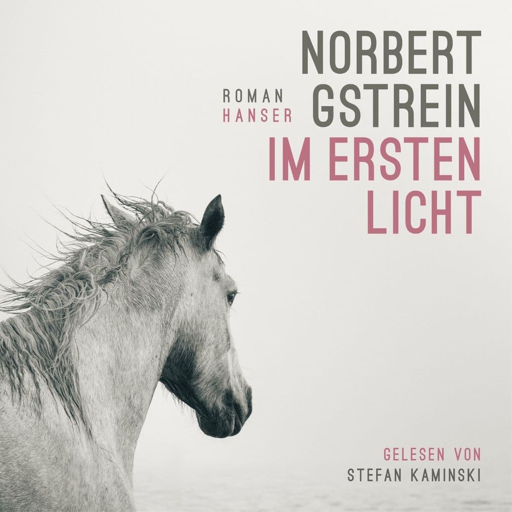 Im ersten Licht: Roman