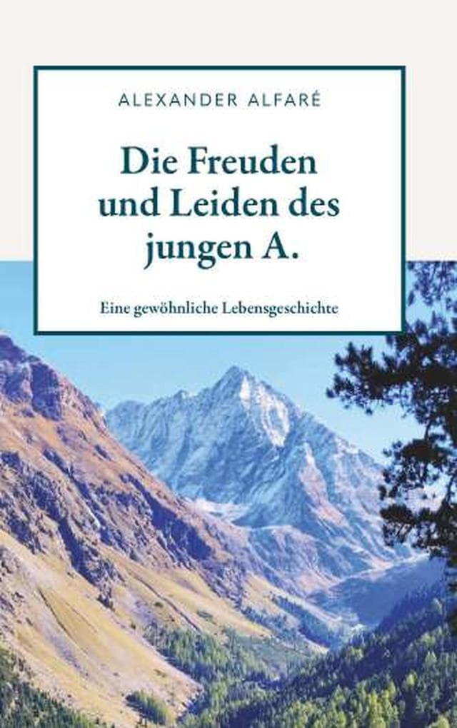 Die Freuden und Leiden des jungen A.: Eine gewöhnliche Lebensgeschichte
